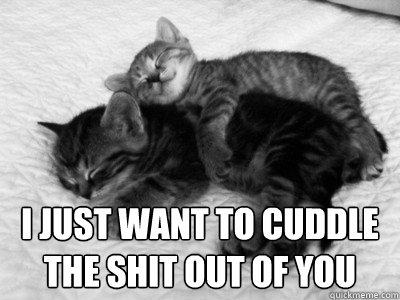  I JUST WANT TO CUDDLE 
THE SHIT OUT OF YOU  