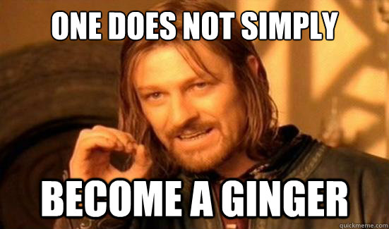 One Does Not Simply become a ginger  Boromir
