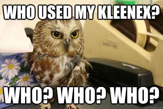 Who used my kleenex? WHO? WHO? WHO?  