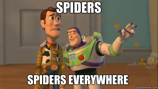 spiders Spiders everywhere  Everywhere