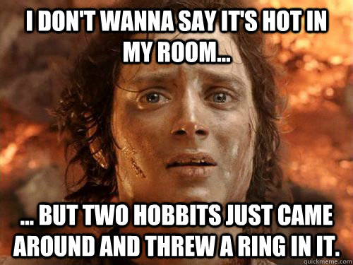 I don't wanna say it's hot in my room... ... but two hobbits just came around and threw a ring in it.  