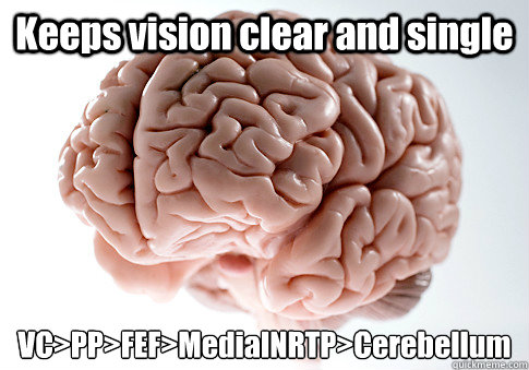 Keeps vision clear and single VC>PP>FEF>MedialNRTP>Cerebellum  - Keeps vision clear and single VC>PP>FEF>MedialNRTP>Cerebellum   Scumbag Brain
