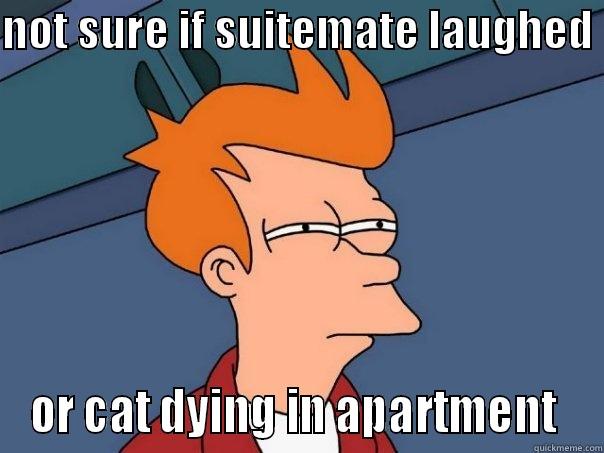 NOT SURE IF SUITEMATE LAUGHED  OR CAT DYING IN APARTMENT  Futurama Fry