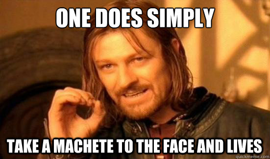 One Does Simply Take a machete to the face and Lives  Boromir