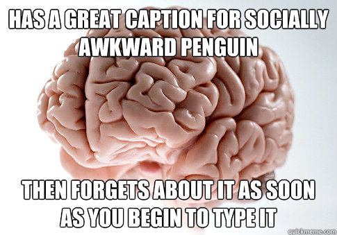 Has a great caption for socially awkward penguin  Then forgets about it as soon as you begin to type it  Scumbag Brain