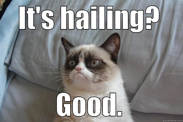 IT'S HAILING? GOOD. Grumpy Cat