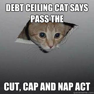 Debt Ceiling Cat says Pass The Cut, Cap and Nap Act  Ceiling Cat