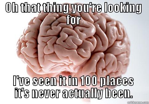 OH THAT THING YOU'RE LOOKING FOR I'VE SEEN IT IN 100 PLACES IT'S NEVER ACTUALLY BEEN. Scumbag Brain