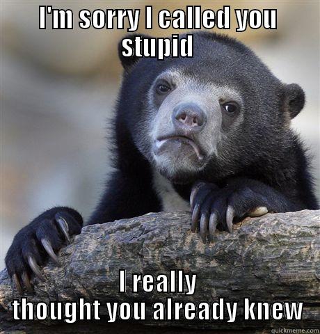 I'M SORRY I CALLED YOU STUPID I REALLY THOUGHT YOU ALREADY KNEW Confession Bear
