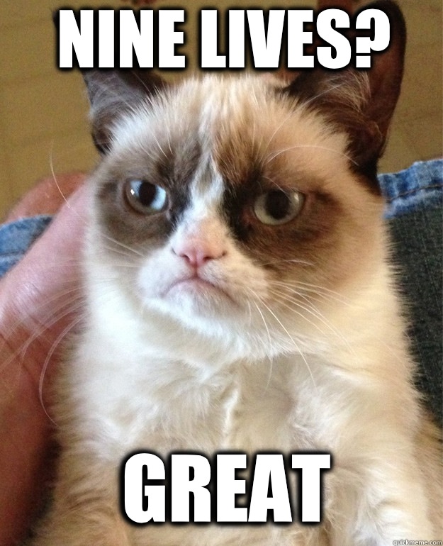 Nine lives?  great  Grumpy Cat