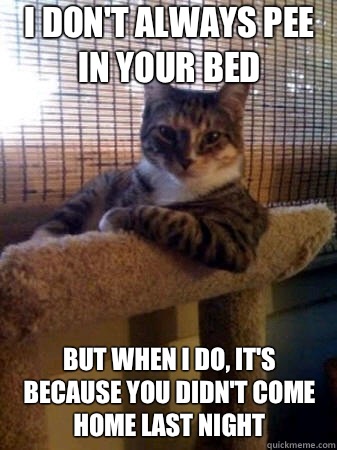 i don't always pee in your bed but when i do, it's because you didn't come home last night  The Most Interesting Cat in the World