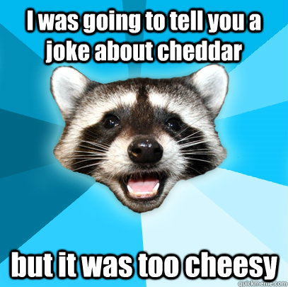 I was going to tell you a joke about cheddar but it was too cheesy  Lame Pun Coon