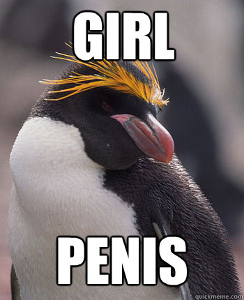 girl penis - girl penis  Socially Overconfident Penguin