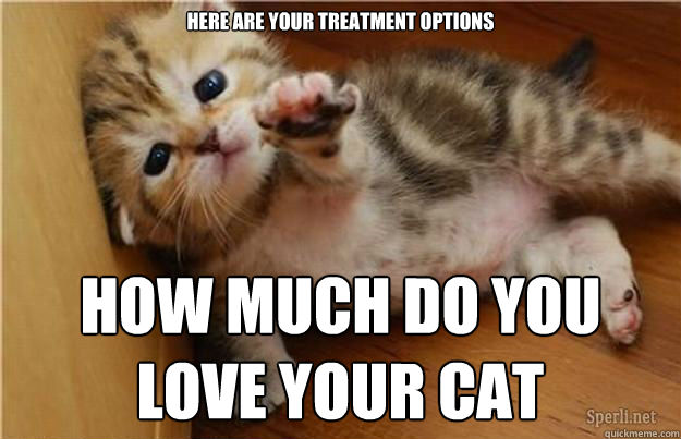 here are your treatment options how much do you love your cat - here are your treatment options how much do you love your cat  Halp me kitten