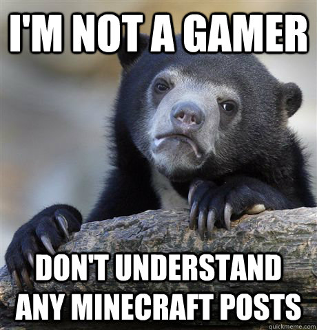 I'm not a gamer don't understand any minecraft posts  Confession Bear