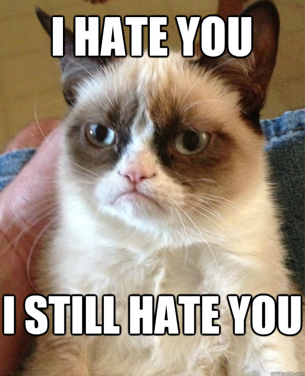 I hate you I still hate you  Grumpy Cat