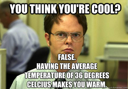 You think you're cool? false.
Having the average temperature of 36 degrees celcius makes you warm.  Schrute