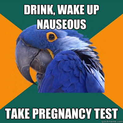 Drink, wake up nauseous
 take pregnancy test  Paranoid Parrot