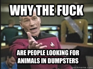 Why the fuck are people looking for animals in dumpsters   Annoyed Picard