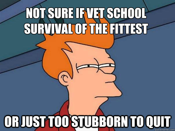 Not sure if vet school survival of the fittest Or just too stubborn to quit  Futurama Fry