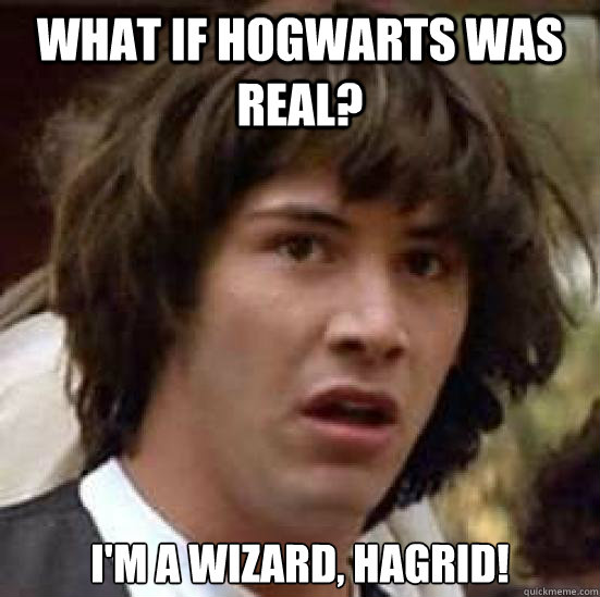 What if Hogwarts was real? I'm a Wizard, Hagrid!  conspiracy keanu