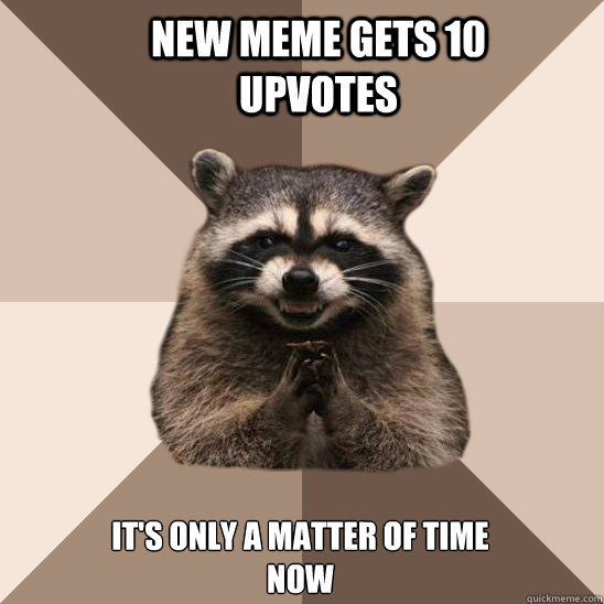 New meme gets 10 upvotes it's only a matter of time now  Evil Plotting Raccoon