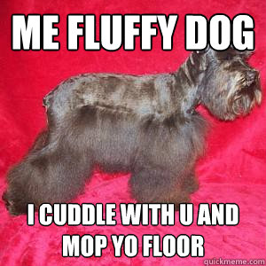 Me Fluffy Dog I cuddle with u and Mop yo floor  Fluffy Dog