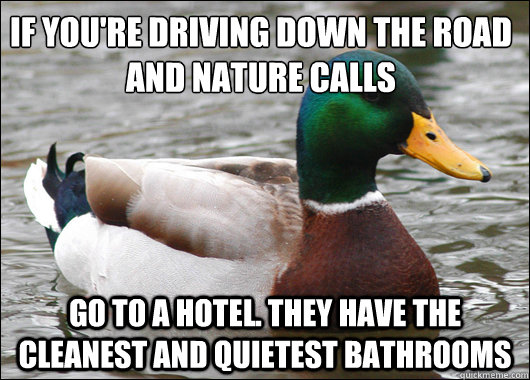 If you're driving down the road and nature calls
 Go to a hotel. they have the cleanest and quietest bathrooms  Actual Advice Mallard