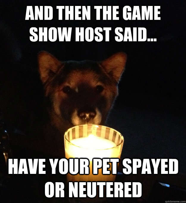 And then the game show host said... Have your pet spayed or neutered   Scary Story Dog