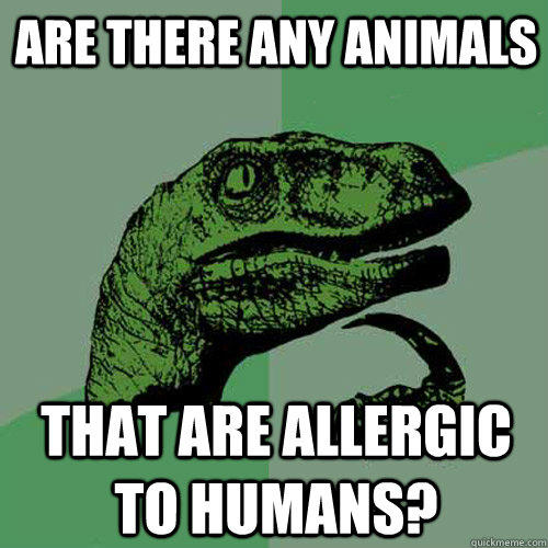 are there any animals  that are allergic to humans? - are there any animals  that are allergic to humans?  Philosoraptor