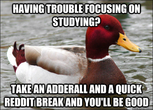 having trouble focusing on studying? take an adderall and a quick reddit break and you'll be good - having trouble focusing on studying? take an adderall and a quick reddit break and you'll be good  Malicious Advice Mallard