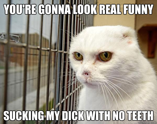 You're gonna look real funny  sucking my dick with no teeth  Jail Cat