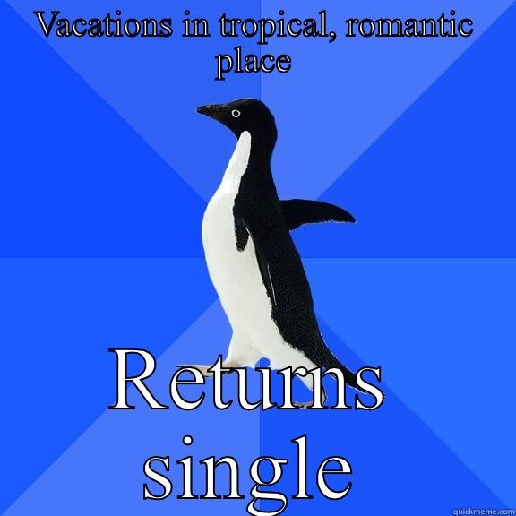 VACATIONS IN TROPICAL, ROMANTIC PLACE RETURNS SINGLE Socially Awkward Penguin