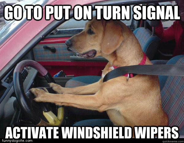 go to put on turn signal activate windshield wipers  Clueless American Driver