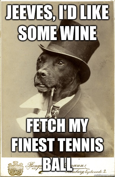 Jeeves, I'd like some wine  Fetch my finest tennis ball  Old Money Dog