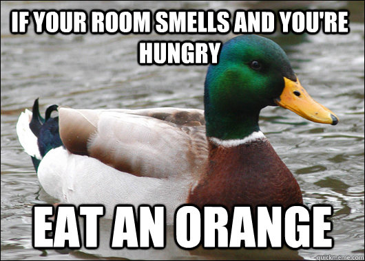 if your room smells and you're hungry eat an orange  Actual Advice Mallard