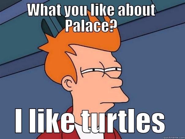 WHAT YOU LIKE ABOUT PALACE? I LIKE TURTLES Futurama Fry