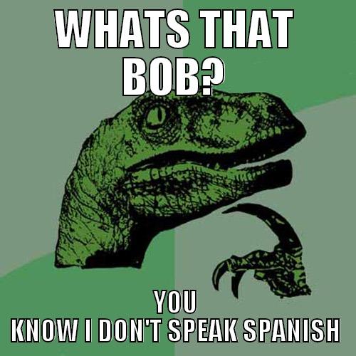 WHATS THAT BOB? YOU KNOW I DON'T SPEAK SPANISH Philosoraptor
