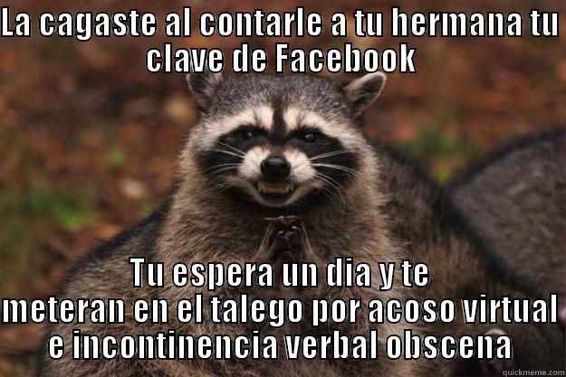 LA CAGASTE AL CONTARLE A TU HERMANA TU CLAVE DE FACEBOOK TU ESPERA UN DIA Y TE METERAN EN EL TALEGO POR ACOSO VIRTUAL E INCONTINENCIA VERBAL OBSCENA Evil Plotting Raccoon