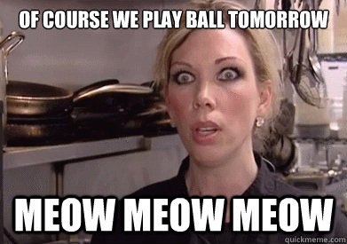 OF COURSE WE PLAY BALL TOMORROW  MEOW MEOW MEOW  Crazy Amy