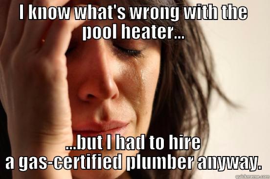 I KNOW WHAT'S WRONG WITH THE POOL HEATER... ...BUT I HAD TO HIRE A GAS-CERTIFIED PLUMBER ANYWAY. First World Problems