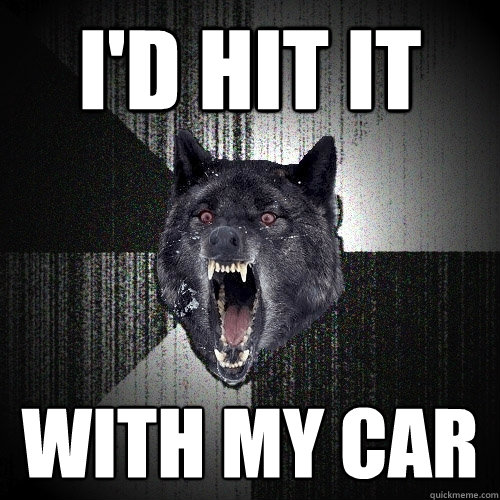 I'd hit it With my car  Insanity Wolf