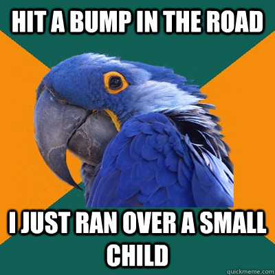 Hit a bump in the road I just ran over a small child  Paranoid Parrot