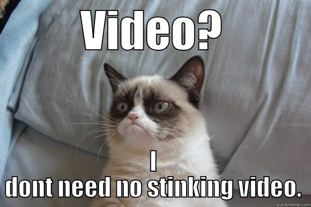 VIDEO? I DONT NEED NO STINKING VIDEO. Grumpy Cat