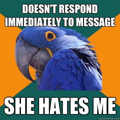 doesn't respond immediately to message she hates me  Paranoid Parrot