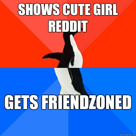 Shows cute girl reddit Gets friendzoned   Socially Awesome Awkward Penguin