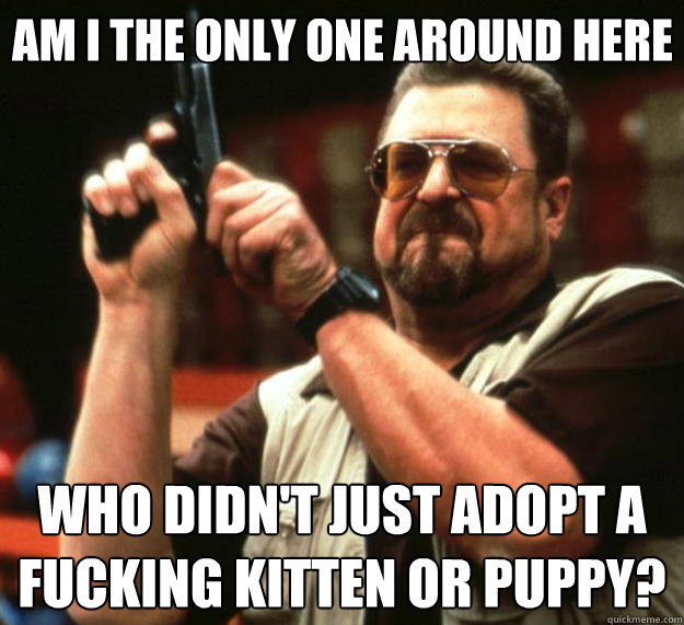 Am I the only one around here who didn't just adopt a fucking kitten or puppy? - Am I the only one around here who didn't just adopt a fucking kitten or puppy?  Big Lebowski