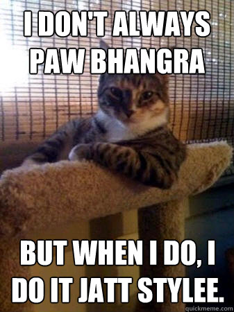 I don't always paw bhangra But when I do, I do it jatt stylee.   The Most Interesting Cat in the World
