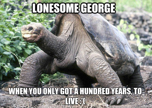 Lonesome george When you only got a hundred years, to live :'(   