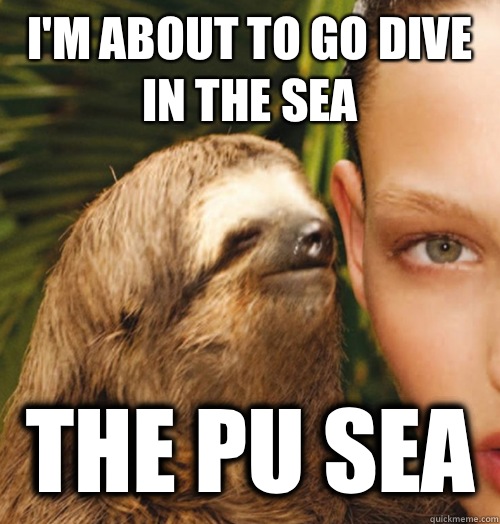 I'm about to go dive in the sea The pu sea  Whispering Sloth